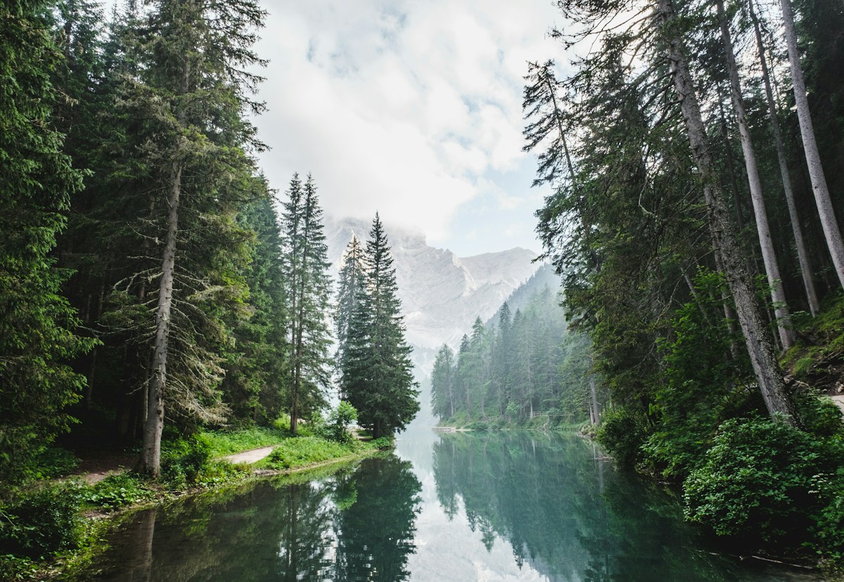 Forest river and mountains on an outdoor trip